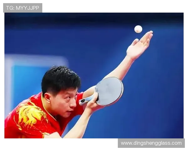 乒乓球基础教程:从入门到提高的全面技巧与训练方法解析