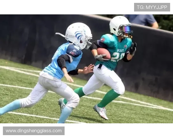 基于比赛实战的橄榄球核心技战术深度解析与应用策略体系研究框架